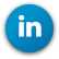linkedin-ico