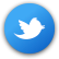twitter-ico